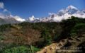 View near Shyangboche